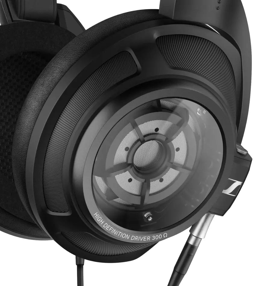 Momentum Sport Img 02