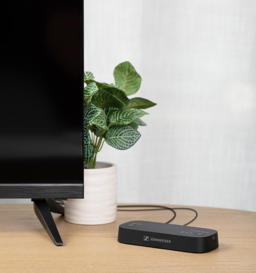 Momentum Sport Bild 02