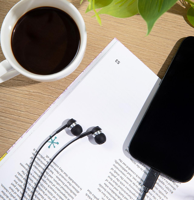 Momentum Sport Bild 02