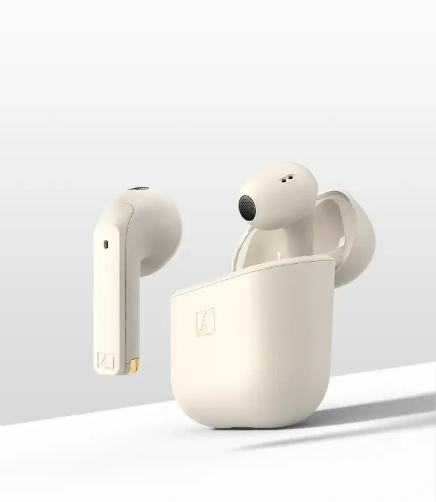 Momentum Sport Img 02