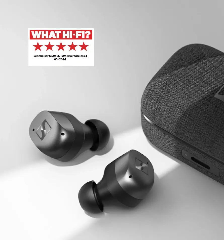 Momentum Sport Kép 02