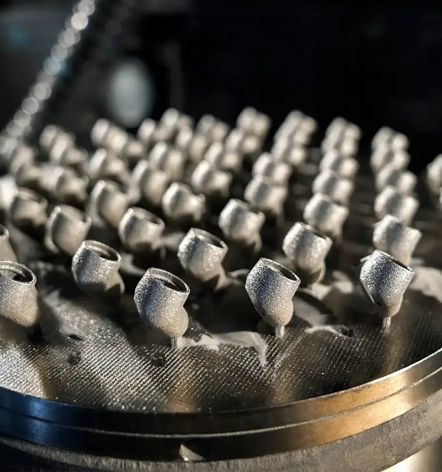 Momentum Sport Kép 02