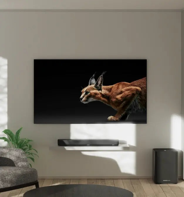 Momentum Sport Immagine 02